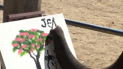 이해하면 무서운 사진 모음 관련 이미지 5