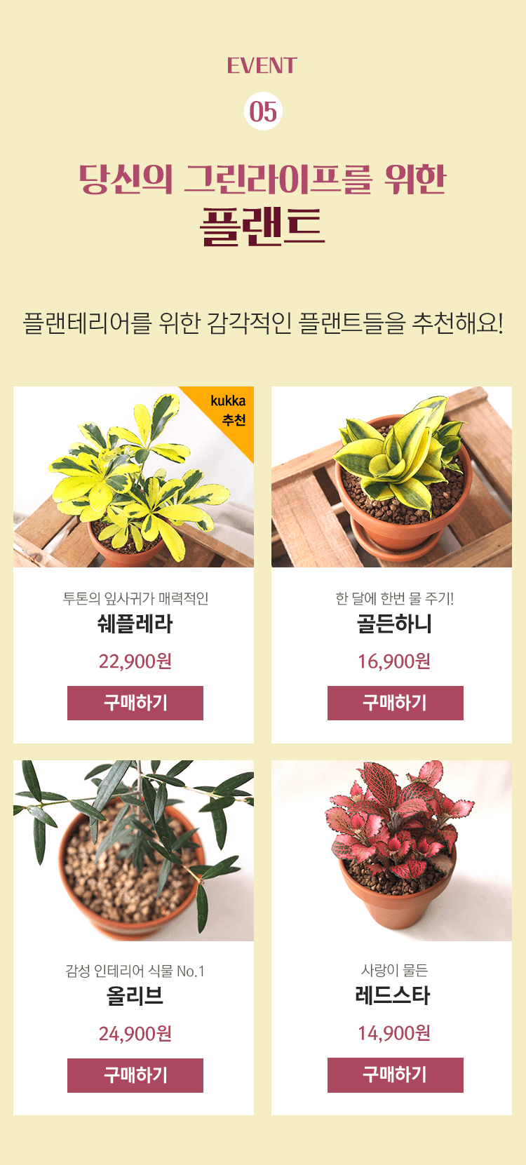 꾸까 가을꽃 페스티벌, 오퀴즈 1200만원 상금 퀴즈 정답 관련 이미지 5