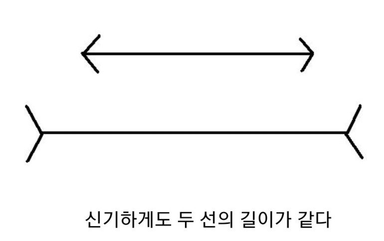 이해하면 무서운 사진 모음 관련 이미지 5