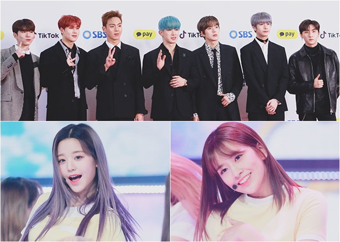 프듀 투표조작 기획사, 에잇디, 울림, 스타쉽 엔터테이먼트! 소속 연예인은 누구? 관련 이미지 2