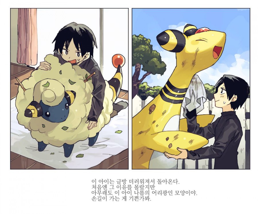 훈훈한 포켓몬스터 만화 모음 관련 이미지 20
