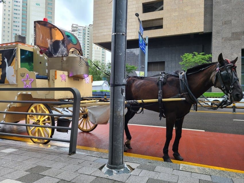 카카오게임즈 우마무스메 시위 근황, 판교에 마차 출몰! 관련 이미지 5