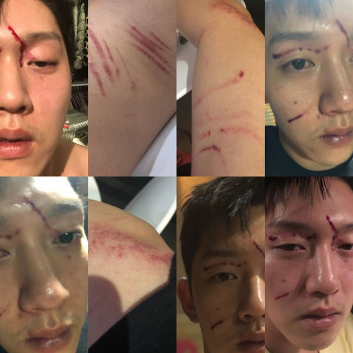 구하라 사망, 법정공방 벌이던 전 남친 최종범 SNS 주목 관련 이미지 6