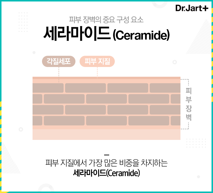 닥터 세라마이드, 캐시워크 정답들 공개 관련 이미지 3