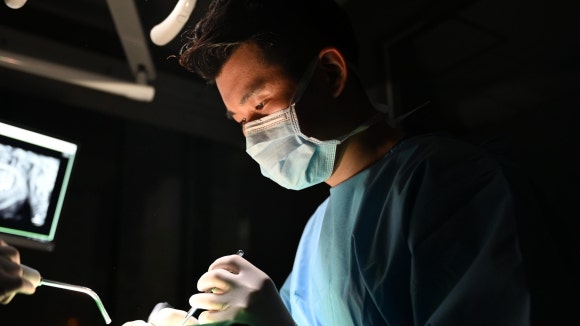 Have You Been Putting Off Impacted Wisdom Tooth Extraction in Hwagok-dong? Don’t Be Too Afraid image 3