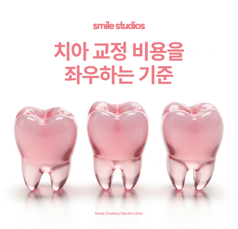 이빨교정비용 좌우하는 기준점 알아보기 관련 이미지 1