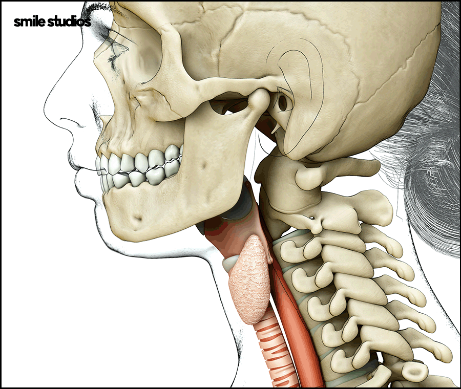 What Are the Key Points That Affect the Success of Receding-Chin Correction? image 5