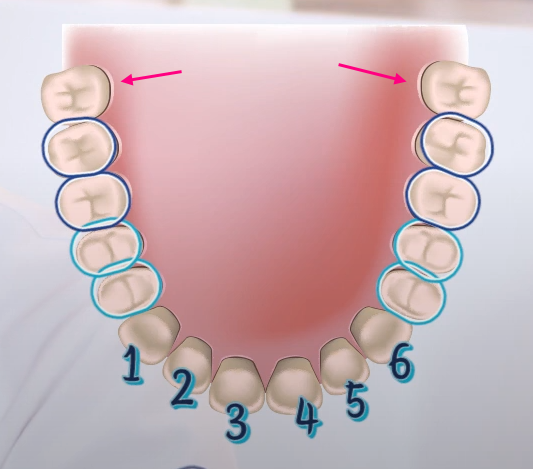 [백몽티비]사랑니 안 뽑아도 된다고? 관련 이미지 1
