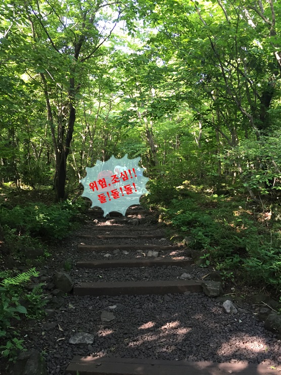 제주도 힐링여행 이야기 : 한라산의 정상 백록담까지 등정 성공!! 관련 이미지 5