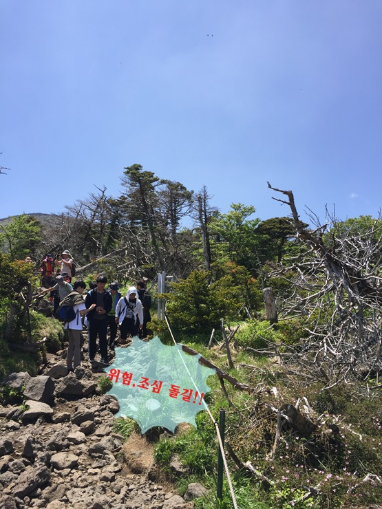 제주도 힐링여행 이야기 : 한라산의 정상 백록담까지 등정 성공!! 관련 이미지 20