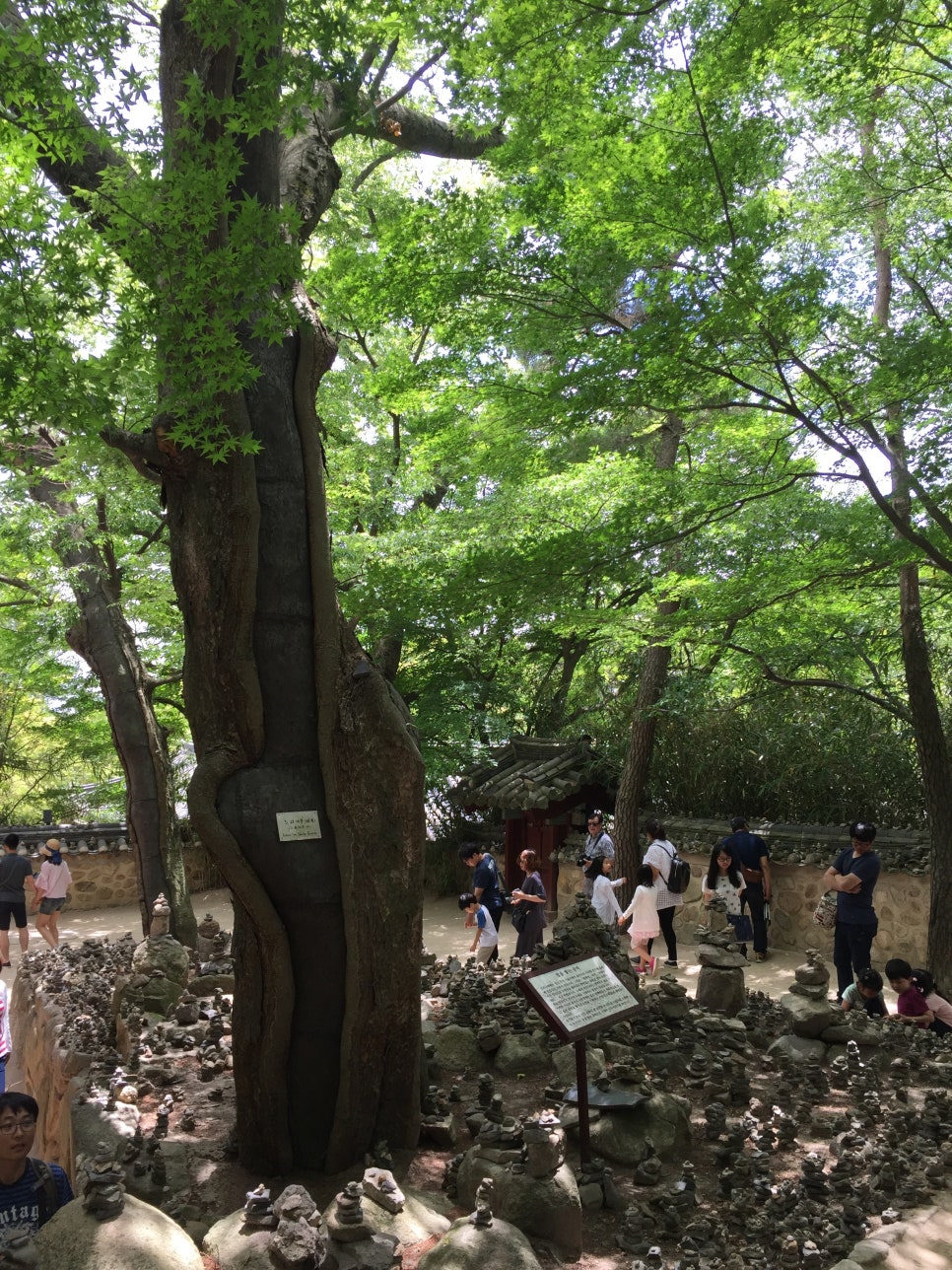 경주 불국사, 경주여행의 필수코스죠~ 관련 이미지 25