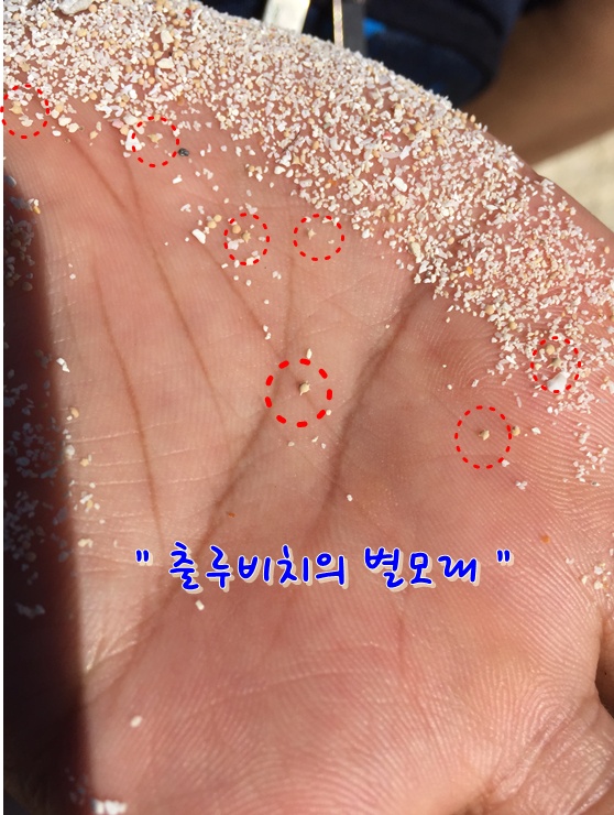 사이판가족여행1탄, 티니안섬에서의 2박3일!! 관련 이미지 11