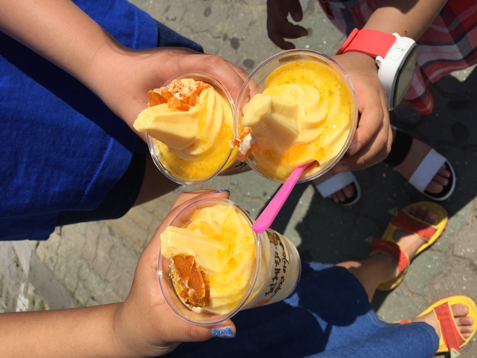 제주도 가족여행:제주도의 맛집 이야기 관련 이미지 1