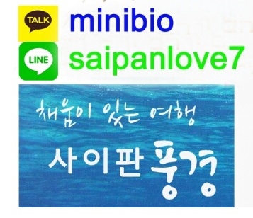 사이판 가족여행2탄!! 워터파크 최고인 월드(한화)리조트에서의 3박4일... 관련 이미지 16