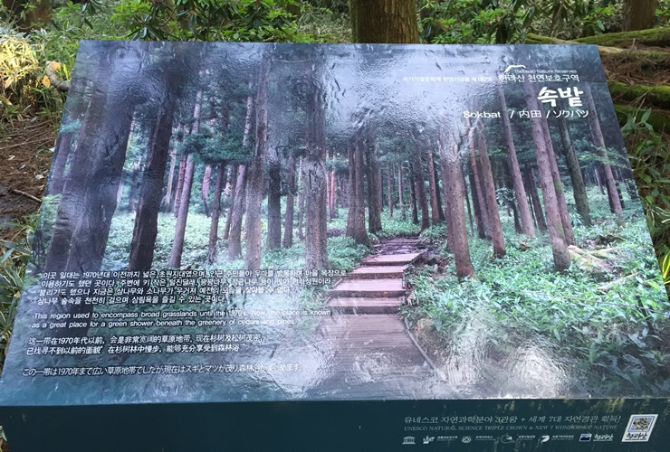 제주도 힐링여행 이야기 : 한라산의 정상 백록담까지 등정 성공!! 관련 이미지 12