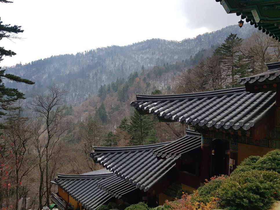 늦가을 오대산 산행, 올해 첫눈을 보고 힐링했어요!! 관련 이미지 18
