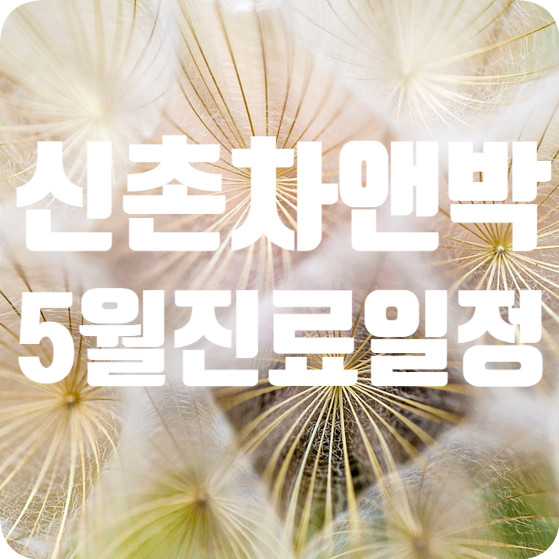 신촌차앤박 5월 진료일정 관련 이미지 1