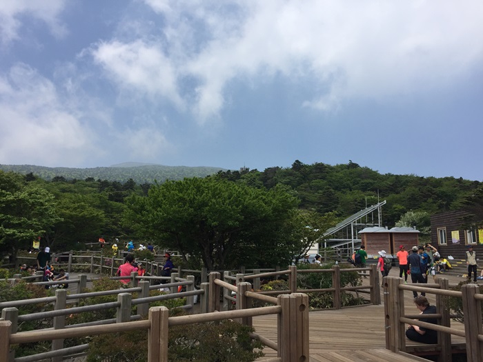 제주도 힐링여행 이야기 : 한라산의 정상 백록담까지 등정 성공!! 관련 이미지 15