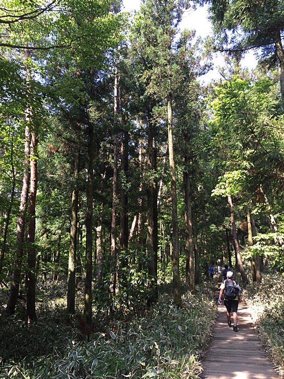 제주도 힐링여행 이야기 : 한라산의 정상 백록담까지 등정 성공!! 관련 이미지 11
