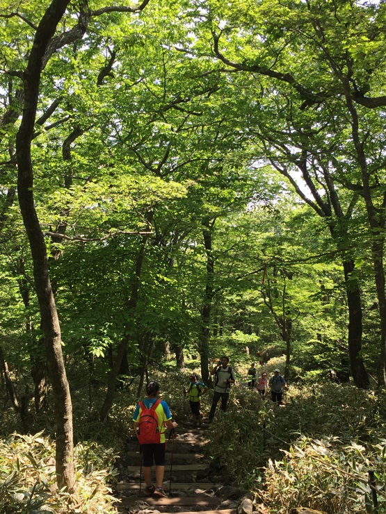 제주도 힐링여행 이야기 : 한라산의 정상 백록담까지 등정 성공!! 관련 이미지 6