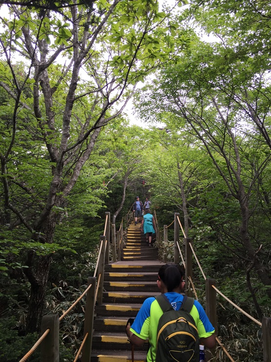 제주도 힐링여행 이야기 : 한라산의 정상 백록담까지 등정 성공!! 관련 이미지 18