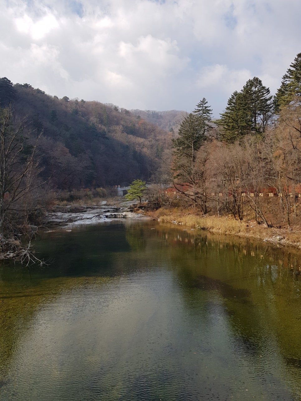 늦가을 오대산 산행, 올해 첫눈을 보고 힐링했어요!! 관련 이미지 4