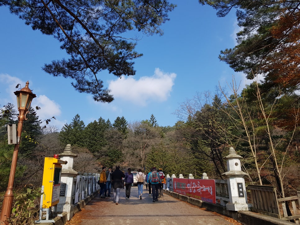 늦가을 오대산 산행, 올해 첫눈을 보고 힐링했어요!! 관련 이미지 3