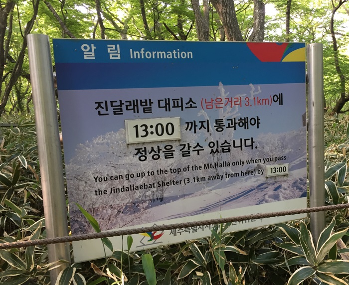 제주도 힐링여행 이야기 : 한라산의 정상 백록담까지 등정 성공!! 관련 이미지 13