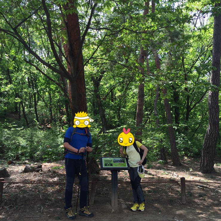 서울둘레길 제8코스 북한산 둘레길 걷기 두번째시간.. 관련 이미지 9