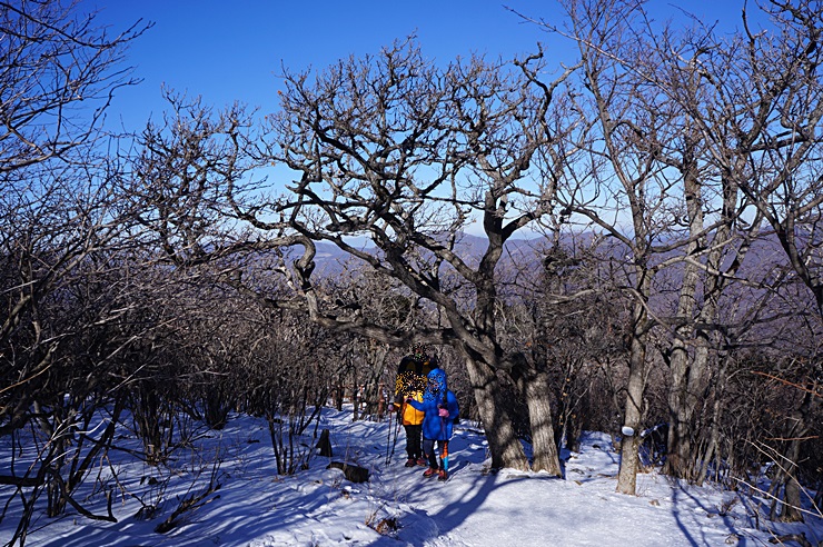겨울눈꽃 산행의 대표 산,태백산 산행기!! 관련 이미지 5