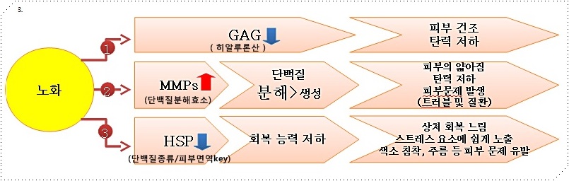 신촌피부과전문의칼럼:미세먼지로 인한 피부노화 치료 관련 이미지 2