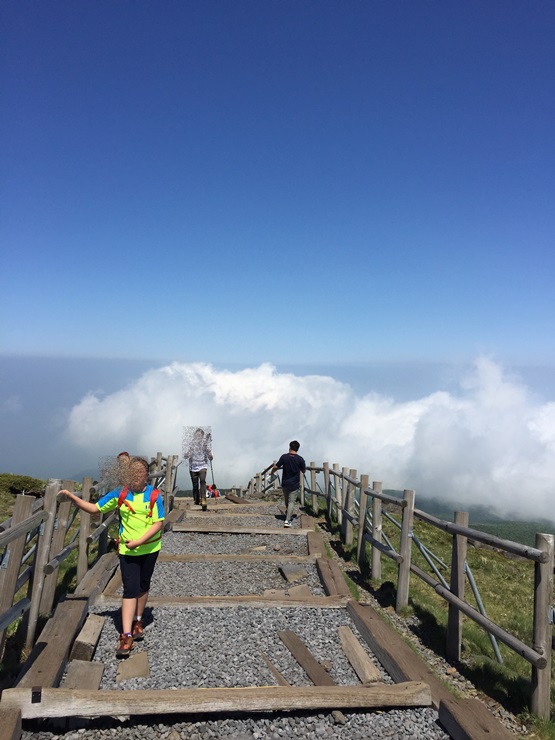 제주도 힐링여행 이야기 : 한라산의 정상 백록담까지 등정 성공!! 관련 이미지 23