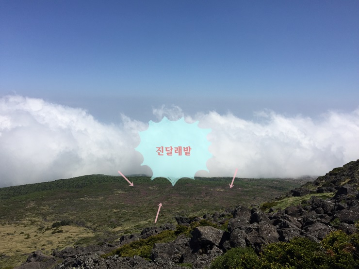 제주도 힐링여행 이야기 : 한라산의 정상 백록담까지 등정 성공!! 관련 이미지 25