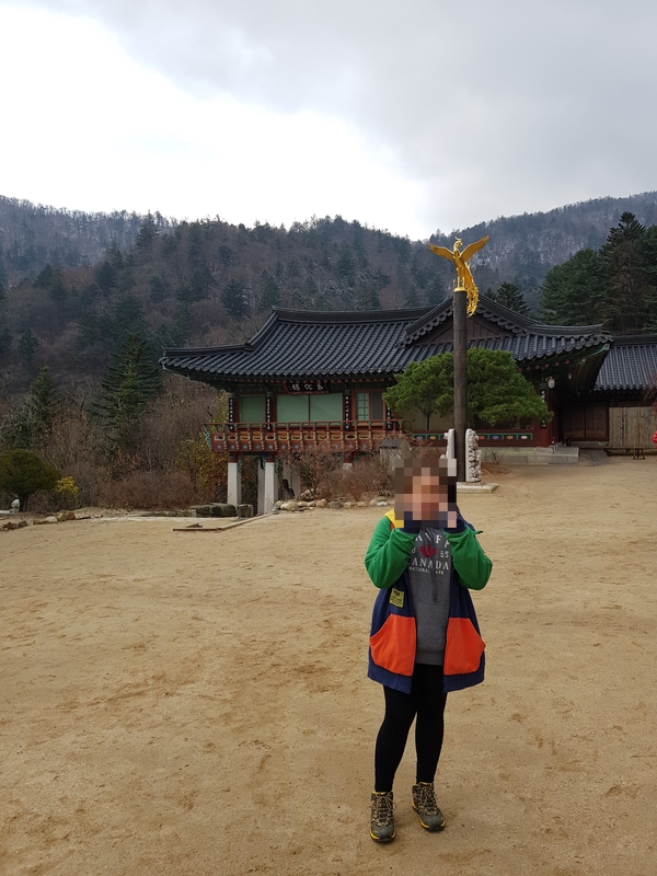 늦가을 오대산 산행, 올해 첫눈을 보고 힐링했어요!! 관련 이미지 9
