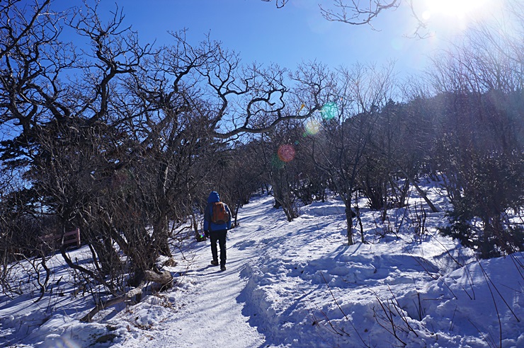 겨울눈꽃 산행의 대표 산,태백산 산행기!! 관련 이미지 2