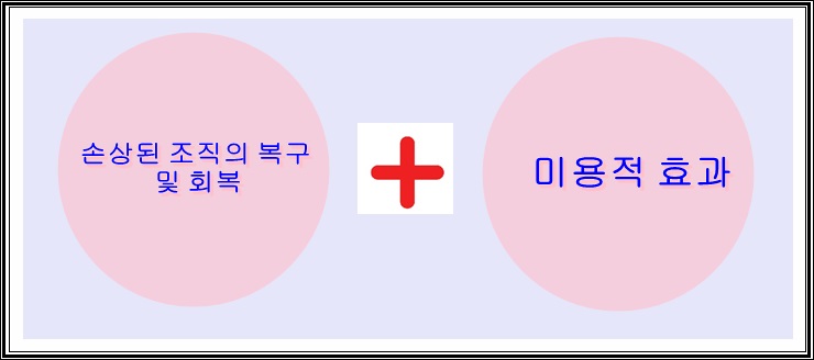 그랜드 인터컨티넨탈 파르나스호텔 리쥬란시술 세미나 관련 이미지 14