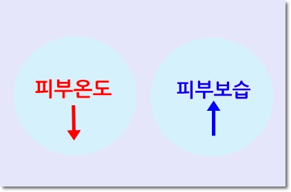 신촌차앤박피부과 피부정보 : 자외선에 의한 피부문제, 일광화상에 대해 알아보아요!! 관련 이미지 8