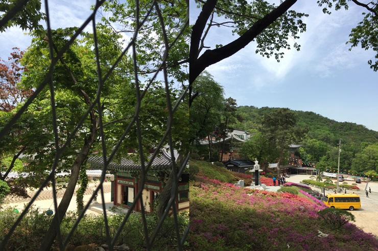 서울둘레길 제8코스 북한산 둘레길 걷기 두번째시간.. 관련 이미지 11