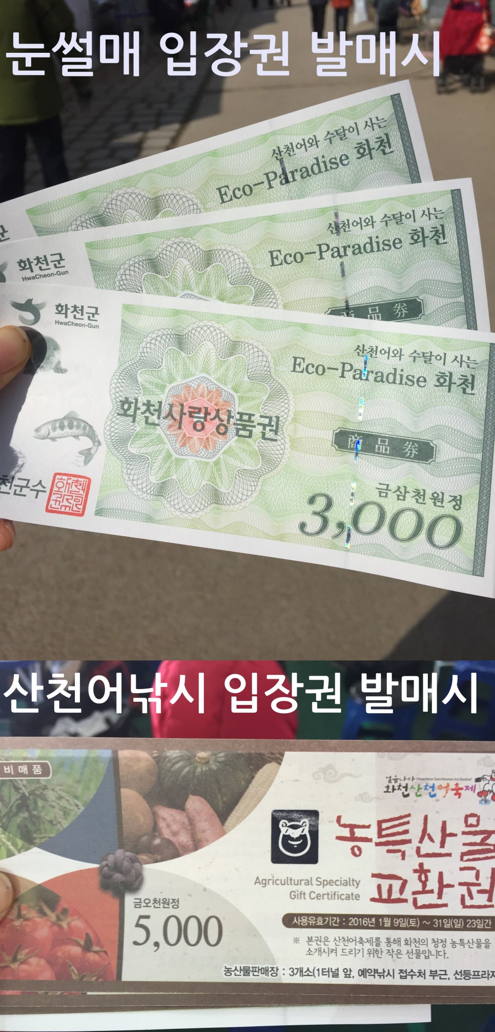 겨울축제,얼음나라 화천산천어 축제 다녀왔어요~ 관련 이미지 10