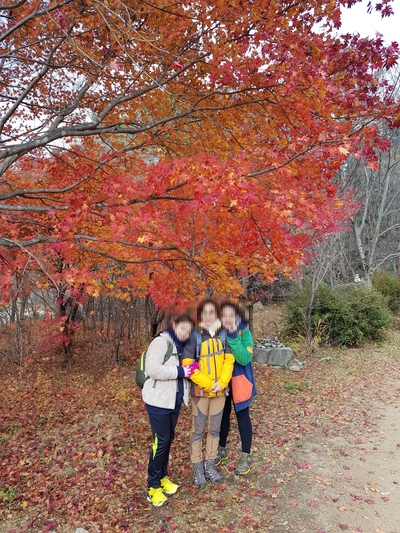 늦가을 오대산 산행, 올해 첫눈을 보고 힐링했어요!! 관련 이미지 5