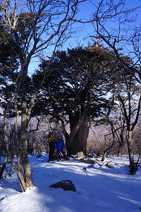 겨울눈꽃 산행의 대표 산,태백산 산행기!! 관련 이미지 4