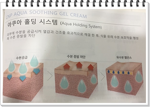 CNP아쿠아수딩토너 프로모션,열 받은 피부 온도를 낮춰라!! 관련 이미지 3