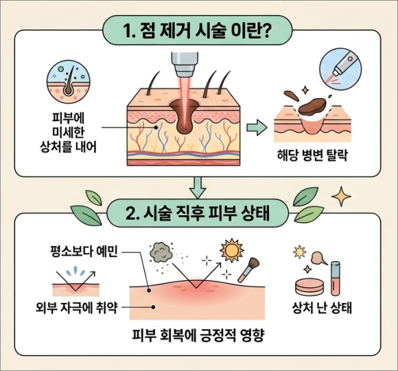 Customized Care Guide by Condition for Mole Removal in Mok-dong image 2