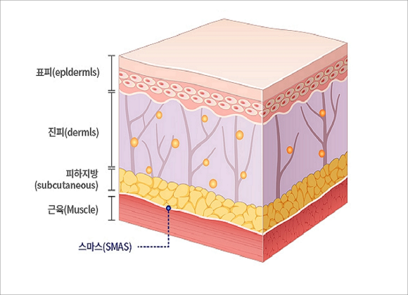 Mok-dong Station Lifting: 2 Key Principles That Help Improve Elasticity image 4