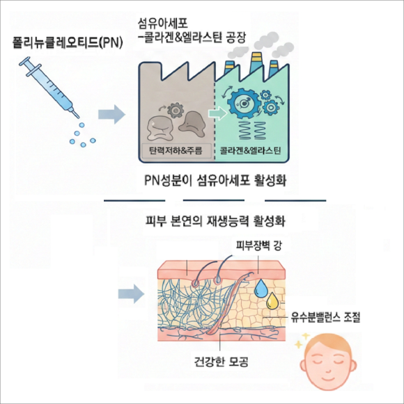 Is There a Way to Get Mok-dong Rejuran with Less Pain? image 3