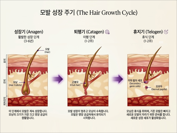 Does Mokdong hair removal require multiple sessions to be effective? image 2
