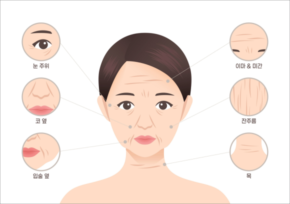 Please Be Sure to Read This Before Deciding on Omokgyo Station Filler Treatment image 3