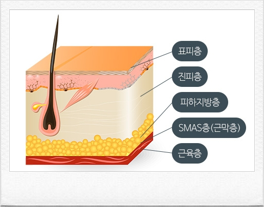 Mokdong Juvelook: If You're Wondering Whether It's Right for You, Read This <Must Read> image 4