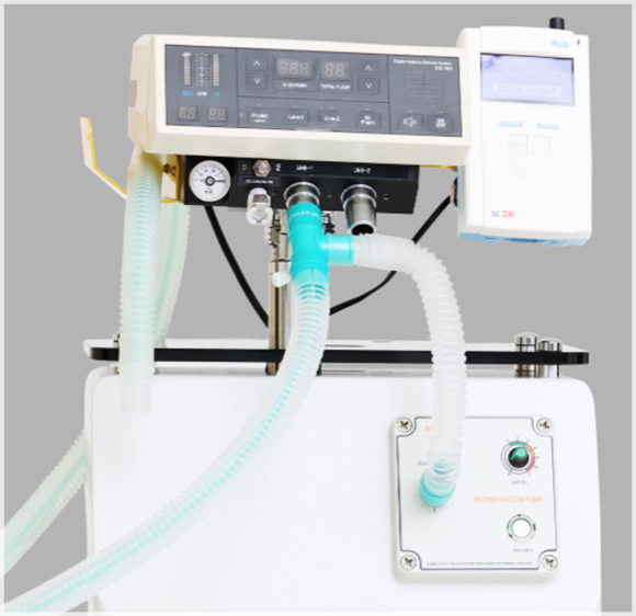 If You’re Looking for Thermage Without Sedation in Mok-dong image 9