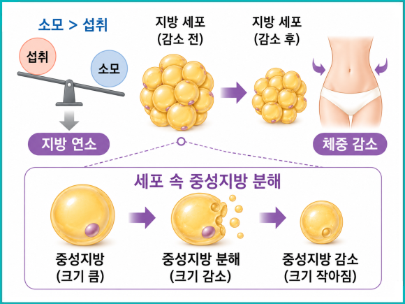 Mokdong InMode, Why Does Excess Fat Remain Even After Weight Loss? image 2